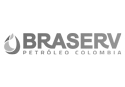 Logo_brasferv