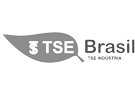Logo_tse